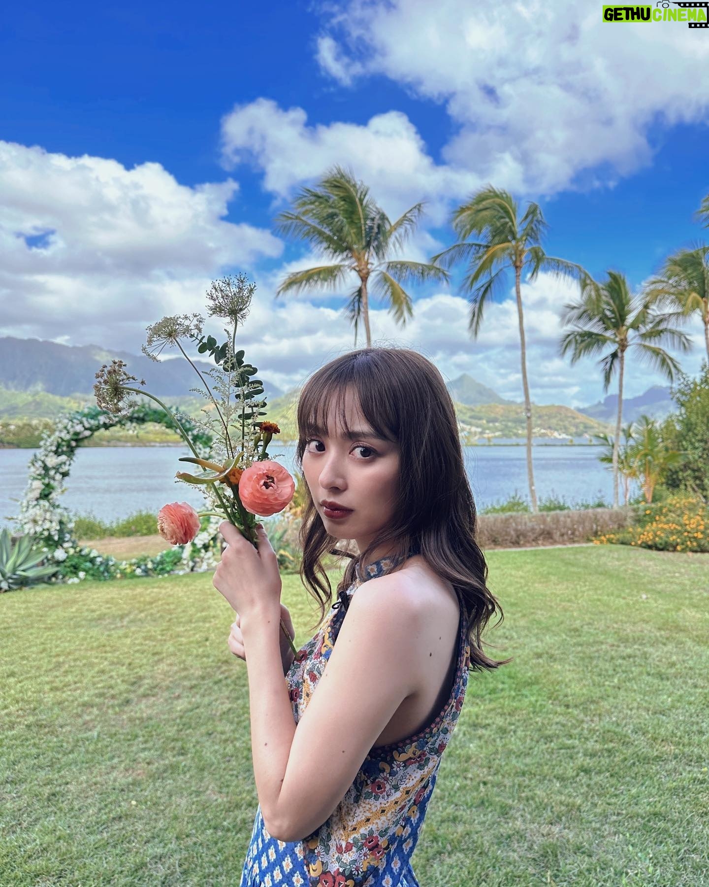 Rio Uchida - 37.1K Likes - BSフジ『内田理央の贅沢ハワイ』
明日1月21日(日) 10:00~10:30放送です❤️
普段は行かないようなちょっとニッチな場所に行ったり食べたり…贅沢な上級者ハワイ😼撮影外でも、ひとりでお散歩したり美味しいご飯を食べたりリフレッシュできました。
また行きたいなーーー🏝️
是非ご覧くださいっ
