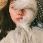 Rio Uchida Instagram - お家にいるといつもこんな感じ😕✌️ #たまま #しっぽワイパー #いつもおしりを顎に当ててくる