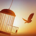 Rita Guedes Instagram – la libertè

#vida
#love
#flytothemoon