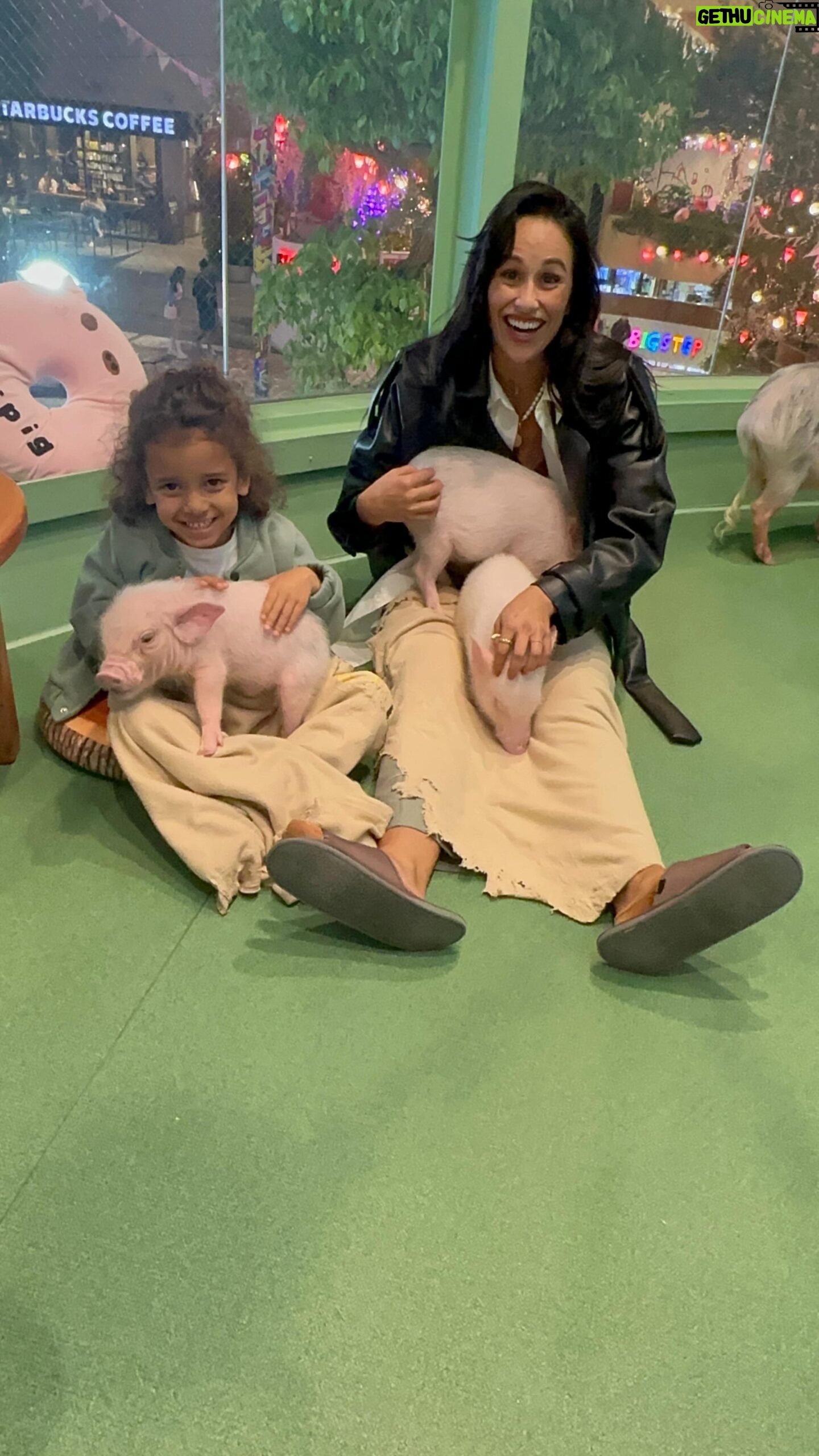 Rita Pereira Instagram - Disse ao @lal1 que íamos a um café diferente e giro aqui em Osaka. Mal sabia ele 😂😂😂🐷🐷🐷 #pigcafe #osaka #japan #japão #piggs #mipigcafe大阪店