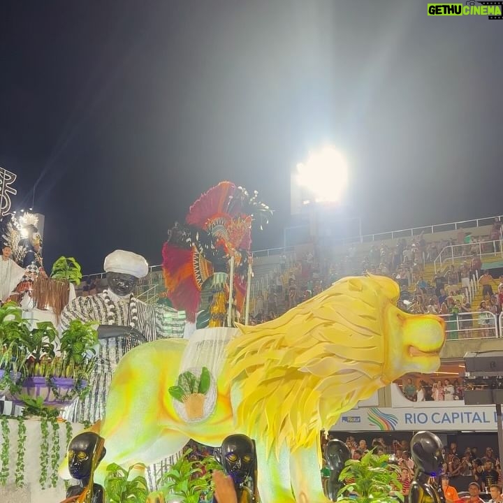 Rita Pereira - 56.5K Likes - O Carnaval no Brasil 🇧🇷
Já não é a primeira vez que vou, já tive até a sorte de desfilar num destes carros alegóricos e foi das experiências mais emocionantes da minha vida, mas todos os anos a emoção é gigante porque realmente, esta competição é única.
A mistura de pessoas, a cultura, a arte, a dedicação, a inclusão, a cor, os carros alegóricos, as fantasias, o amor que se vê no rosto de cada participante, tudo isto é muito especial.
Aconselho muito tentarem viver esta experiência.
@nossocamarote @marquesdesapucaioficial #carnavaldorio #riodejaneiro #goodvibes