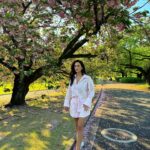 Rita Pereira Instagram – E finalmente encontramos sakuras 🫰🏽🇯🇵
Que lindo, que lindo, que lindo 😍 Que jardim mais lindo!!!
Aconselho muito.
Fizemos um picnic, passeámos, descansámos. Foi tão zen. Que bom.

#japan #tokyo #shinjuku #shinjukugyoennationalgarden
