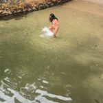 Rita Pereira Instagram - Acordo cedo e decido fazer uma cena super “wow és mesmo uma pessoa wowww”, que é dar um mergulho para começar o dia 🤣 Reparei que tinha um cardume infinito mas, acreditei piamente que mal avançasse os peixes fugissem. Não aconteceu… O que poderia ter sido um vídeo “toda ela sexy no seu mergulho matinal”, tornou-se no que verdadeiramente acontece quando sinto “cenas” a tocarem-me debaixo de água 🤣🤣🤣 Agora é deixar nos comentários o nome dos amigos que também são como eu 🤪👇🏾