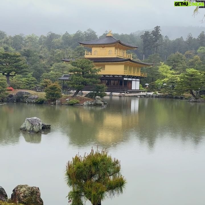 Rita Pereira Instagram - Mau tempo mas Kyoto lindo na mesma. Hoje fomos ao Kinkaku-ji Temple, ao Nishiki Market e ao Fushimi Inari-taisha. Ficou a faltar-nos 2 sítios incríveis mas esta chuva não ajudou. #kyoto #quioto #japan #japão #kinkakujitemple #nishikimarket #fushimiinaritaisha #family #vacation #famvacay