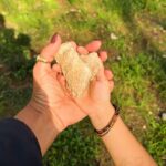 Rita Pereira Instagram – A nossa tarde foi passada no campo, a explorar, a descobrir, a correr por novos caminhos, a cheirar as flores, a cansar os cães, a dançar e a rir. É tão simples e faz-nos tão felizes.

PS- E a “cara” da Heyvi a odiar o lenço no cabeça 😂😂😂

#dogsofinstagram #dog #dogsandkids #passeios #mom #son #happiness #goodvibes