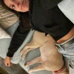 Ritu Arya Instagram - 2022 photo dump part 1 ft. Douglas