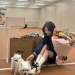 Roh Jeong-eui Instagram - @mlbkorea 오래된 나의 짝사랑이 이루어졌다 🍀🫧 우리.. 오래오래 평생 가요 ㅠㅠㅠㅠㅠㅠㅠㅠ🥹💗
