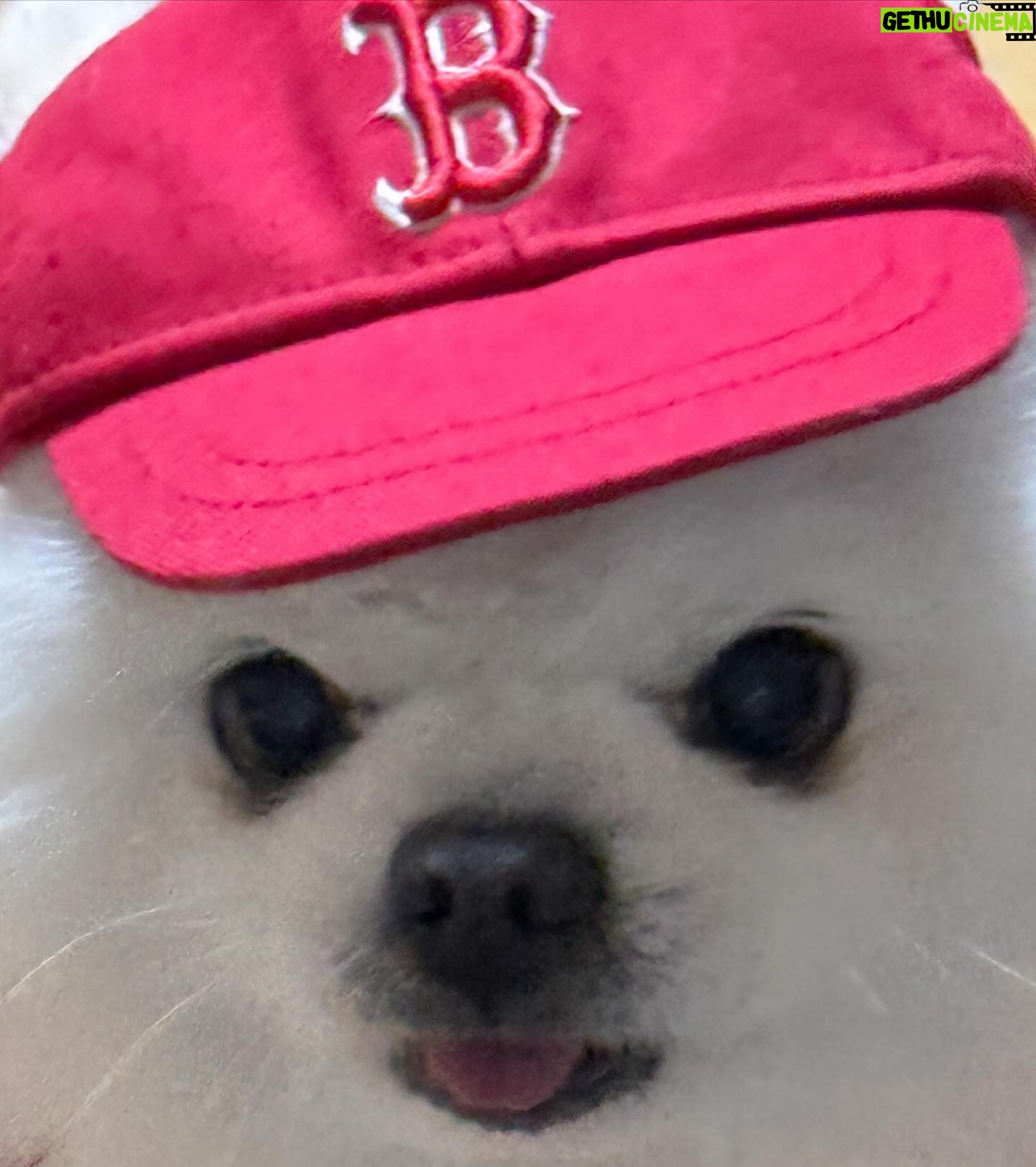 Roh Jeong-eui Instagram - @mlbkorea 오래된 나의 짝사랑이 이루어졌다 🍀🫧 우리.. 오래오래 평생 가요 ㅠㅠㅠㅠㅠㅠㅠㅠ🥹💗