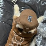 Roh Jeong-eui Instagram - @mlbkorea 오래된 나의 짝사랑이 이루어졌다 🍀🫧 우리.. 오래오래 평생 가요 ㅠㅠㅠㅠㅠㅠㅠㅠ🥹💗