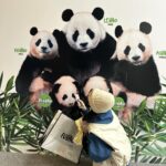 Roh Jeong-eui Instagram - 사랑해 푸바오🐼