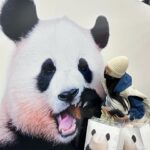 Roh Jeong-eui Instagram - 사랑해 푸바오🐼