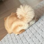 Roh Yoon-seo Instagram - 💤