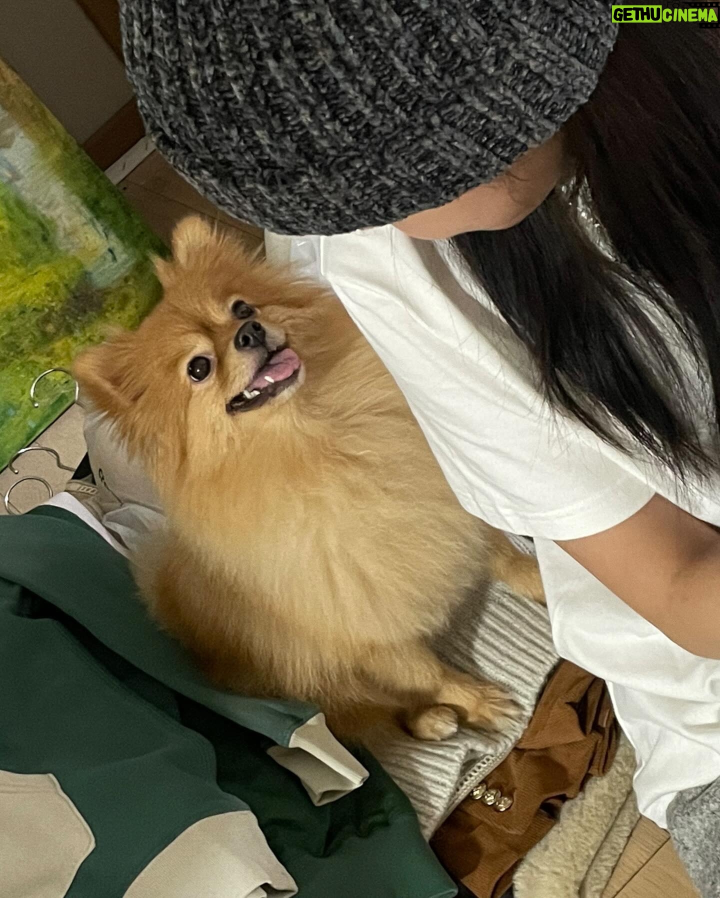 Roh Yoon-seo Instagram - Happy new yearβ¨πππ 건κ°νκ³ , μμνκ²λΌλ μμ£Όμμ£Ό ν볡ν νμ΄ κ°λν ν ν΄ λκΈ°λ₯Όπ