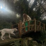 Rojda Demirer Instagram - Hoşbulduk Çerkezköy🫶çok güzel bi yere geldik foto çekilmek isterken beni bulan güzellikle fotom tamamlandı😊 🐕 📸 @hamdilerden 🙏