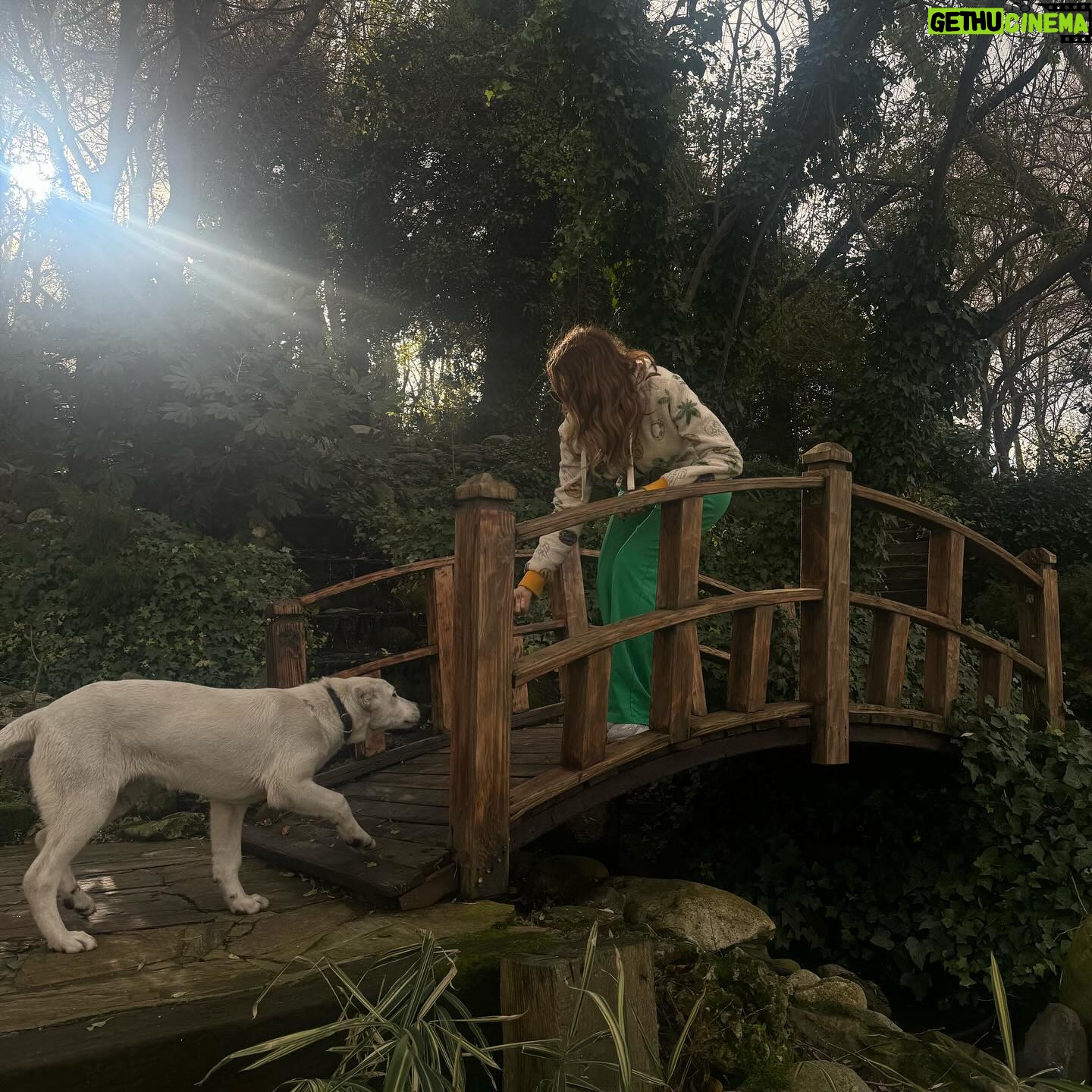 Rojda Demirer Instagram - Hoşbulduk Çerkezköy🫶çok güzel bi yere geldik foto çekilmek isterken beni bulan güzellikle fotom tamamlandı😊 🐕 📸 @hamdilerden 🙏