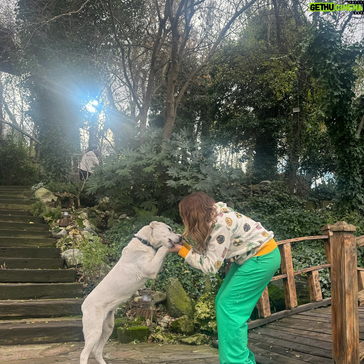 Rojda Demirer Instagram - Hoşbulduk Çerkezköy🫶çok güzel bi yere geldik foto çekilmek isterken beni bulan güzellikle fotom tamamlandı😊 🐕 📸 @hamdilerden 🙏