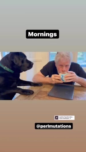 Ron Perlman Instagram - Happy 3rd Birthday to the goofiest, cuddliest, cooliest of them all, Harrington aka Hawwy aka harold, chimmy chunk aka chimkin aka daddy dubs do…