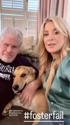 Ron Perlman Instagram - We just entered the wonderful world of fostering…taking in a pet that would otherwise get lost in a lonely world. And even though we were complete disasters at fostering, turns out we’re okay at adopting! Starvin Marvin, welcome to the funhouse! By the way…
fostering is a beautiful thing. For all concerned. If you can, give it a thought; it’s a shortcut to heaven on earth!