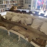 Ron Perlman Instagram - La Finca Vigia, Cuba. Hemingway had this couch built for his good pal Gary Cooper, who was too tall to sleep in any of the beds.