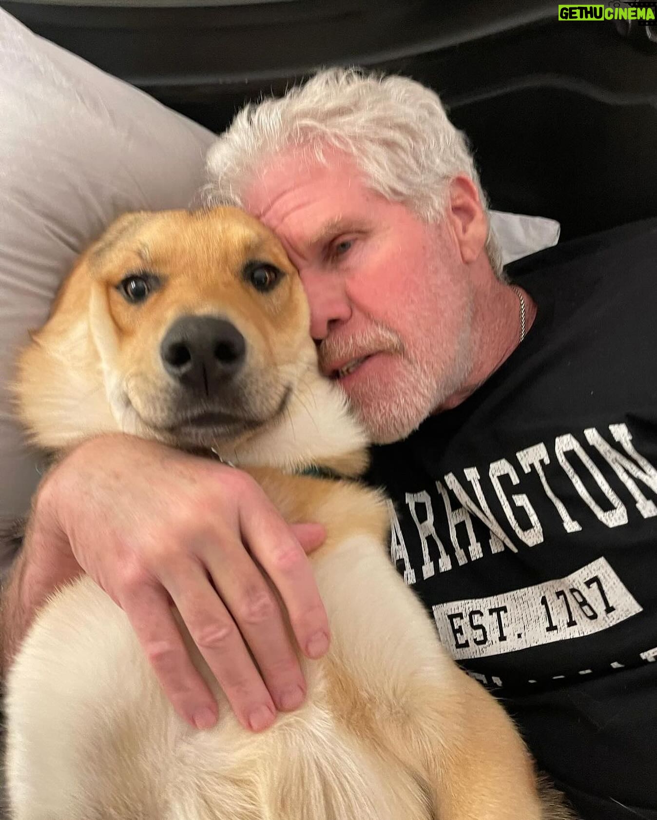 Ron Perlman Instagram - Repost from @allisondunbar • Happy National Adopt A Shelter Pet Day❤️ My dogs are Angels. Supermodels. Buffoons. House Clowns. Creeps. Bed Hogs. Loves of my life. Please consider adopting a shelter pet. It will change your life. ❤️❤️❤️❤️❤️❤️❤️❤️❤️ #savethemall #adoptdontshop #shelterdogsrock #myfavoritebreedisrescued #rescuedogsofinstagram #shelterdogsaresexy #purebredsinthesheltertoo #blacklabsofinstagram #labmixesofinstagram #shepskysofinstagram #sableshepherd #lomls #Ronisarescue #adoptyourpets #shelterpets #happynationaladoptashelterpetday