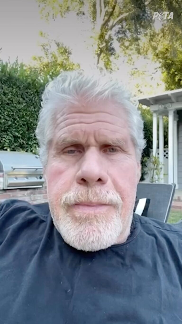 Ron Perlman Instagram - Find your love. And save something precious. Win Win!!!