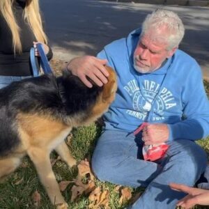 Ron Perlman Instagram - First kiss from our new foster who has taken a shine to the name “Starvin” Marvin. No need to be jealous; Marvin has a brother who also is available for fostering and adoption. Just go to @pupswithoutborders to get the whole skinny. With  profound thanks to @debfeldbloom for the hookup and @doeckel for rescuing them both from the Bakersfield Orchards, where hundreds of dogs are being dumped. Would love for you to consider fostering; it saves lives and adds so much to your own. Me and @allisondunbar couldn’t be more thrilled!