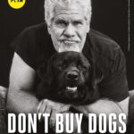 Ron Perlman Instagram - Repost from @peta • There are 70 million homeless animals in the U.S. right now. And they need your help.   Legendary actor @perlmutations & his rescued dogs teamed up with us to share this message: adopt, don’t shop. https://peta.vg/3rfo   Photographer: Shayan Asgharnia @shayan.asgharnia Creative Director: Greg Garry @eyesofgreggarry Director of Photography: Jordan Ritz @jordanritz_dp Photo Assistant: Victor Hernandez @vic.luciano.images Lighting Technician: Sash Popovic Sound: Alexis Martinez  Assistant camera: Ben Smith Steadicam: James Marin @jamesmarin3 Grooming: Aaron Barry @abhairmakeup