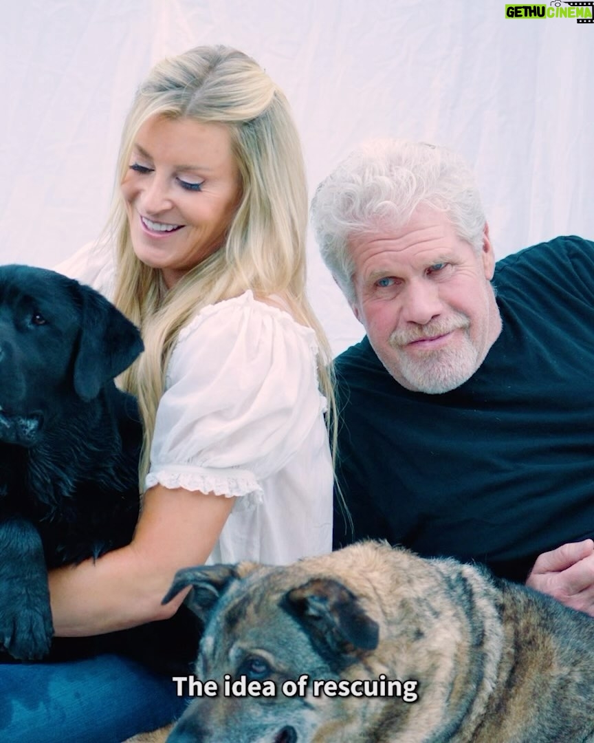 Ron Perlman Instagram - Our family had such a special time together working with @peta and discussing how important it is to adopt and never buy dogs 🐾 @allisondunbar, Harrington, and our late Sassypants want to remind everyone to help homeless and senior animals by adopting—they bring so much love into our lives ❤️🐶
