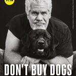 Ron Perlman Instagram - Helping dogs is so important to me and I joined @peta with my adopted pups Harrington and my late Sassy (who we miss dearly) to promote adoption ❤️ There are 70 million homeless animals in the U.S. right now. Please remember to adopt and never buy dogs in Sassy’s memory, it makes a huge difference 🐾 Photographer: Shayan Asgharnia @shayan.asgharnia Creative Director: Greg Garry @eyesofgreggarry Director of Photography: Jordan Ritz @jordanritz_dp Photo Assistant: Victor Hernandez @vic.luciano.images Lighting Technician: Sash Popovic Sound: Alexis Martinez Assistant camera: Ben Smith Steadicam: James Marin @jamesmarin3 Grooming: Aaron Barry @abhairmakeup