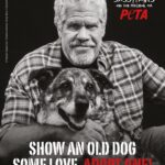 Ron Perlman Instagram - Helping dogs is so important to me and I joined @peta with my adopted pups Harrington and my late Sassy (who we miss dearly) to promote adoption ❤️ There are 70 million homeless animals in the U.S. right now. Please remember to adopt and never buy dogs in Sassy’s memory, it makes a huge difference 🐾 Photographer: Shayan Asgharnia @shayan.asgharnia Creative Director: Greg Garry @eyesofgreggarry Director of Photography: Jordan Ritz @jordanritz_dp Photo Assistant: Victor Hernandez @vic.luciano.images Lighting Technician: Sash Popovic Sound: Alexis Martinez Assistant camera: Ben Smith Steadicam: James Marin @jamesmarin3 Grooming: Aaron Barry @abhairmakeup