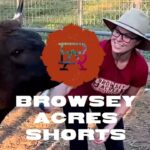 Ronda Rousey Instagram - 90% of the time, Ronda is found loving on the Wagyu herd. 🤣