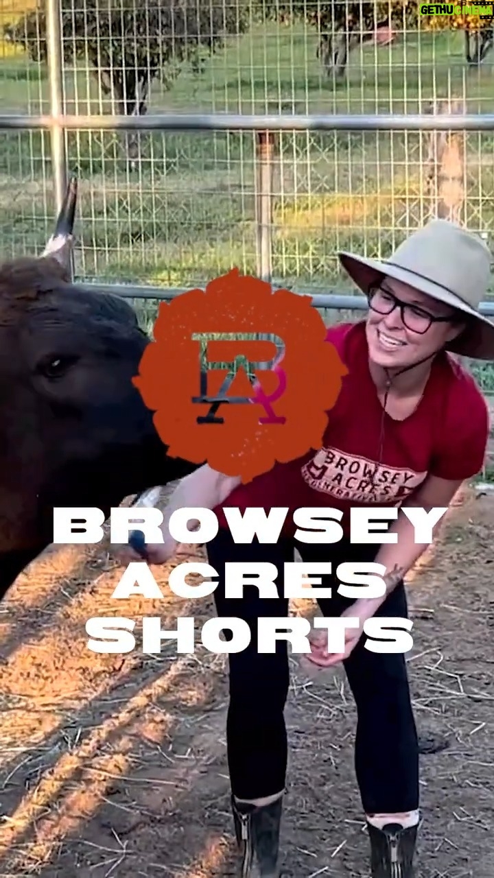 Ronda Rousey Instagram - 90% of the time, Ronda is found loving on the Wagyu herd. 🤣