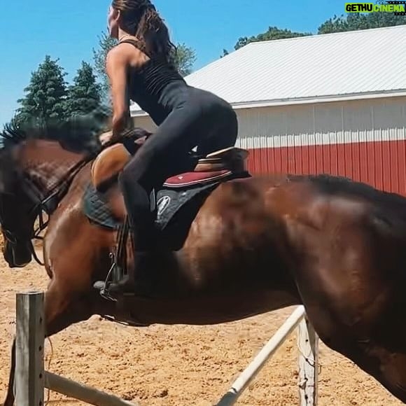 Ronni Hawk Instagram - Michigan🐴🌿🌞 #summerriding #horseriding #englishriding #jumper