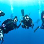 Ronni Hawk Instagram – We had a fabulous day with the sharks 🦈 Thank you @ronnihawk for joining our Force-E group for some dives on @gung_ho_divers 📸 by @momentsintimephoto_underwater #sharks #sharkdiving #southflorida #scubalife