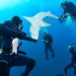 Ronni Hawk Instagram – We had a fabulous day with the sharks 🦈 Thank you @ronnihawk for joining our Force-E group for some dives on @gung_ho_divers 📸 by @momentsintimephoto_underwater #sharks #sharkdiving #southflorida #scubalife