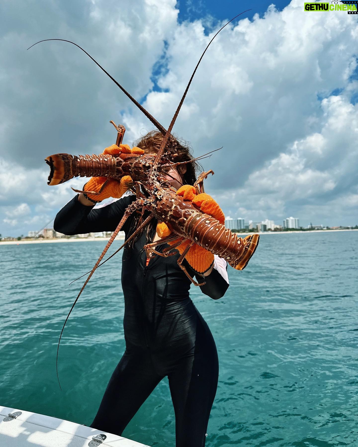 Ronni Hawk - 8K Likes - Lobster Season🦞