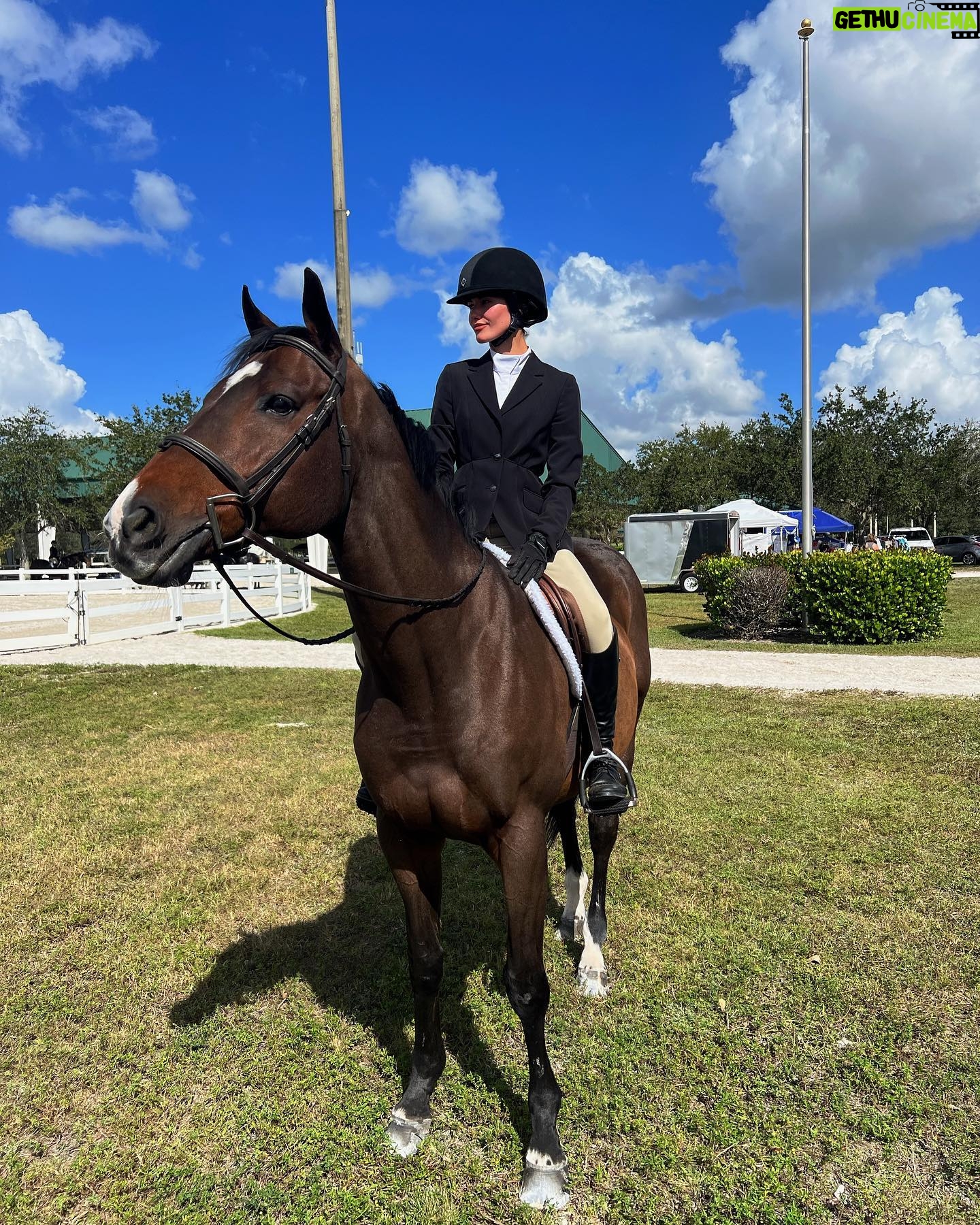 Ronni Hawk Instagram - Had an amazing weekend at a horse show! Thrilled to share that I had some great rounds and even managed to secure a few wins! Was such a special weekend!🏆🐴 @delrayfeedandsupply #horsegirl