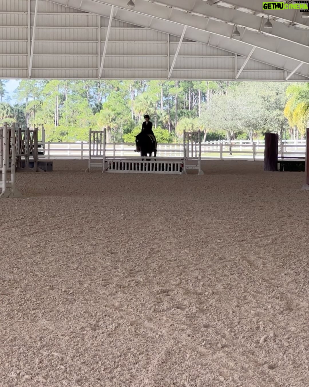 Ronni Hawk Instagram - Had an amazing weekend at a horse show! Thrilled to share that I had some great rounds and even managed to secure a few wins! Was such a special weekend!🏆🐴 @delrayfeedandsupply #horsegirl