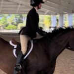 Ronni Hawk Instagram - Had an amazing weekend at a horse show! Thrilled to share that I had some great rounds and even managed to secure a few wins! Was such a special weekend!🏆🐴 @delrayfeedandsupply #horsegirl