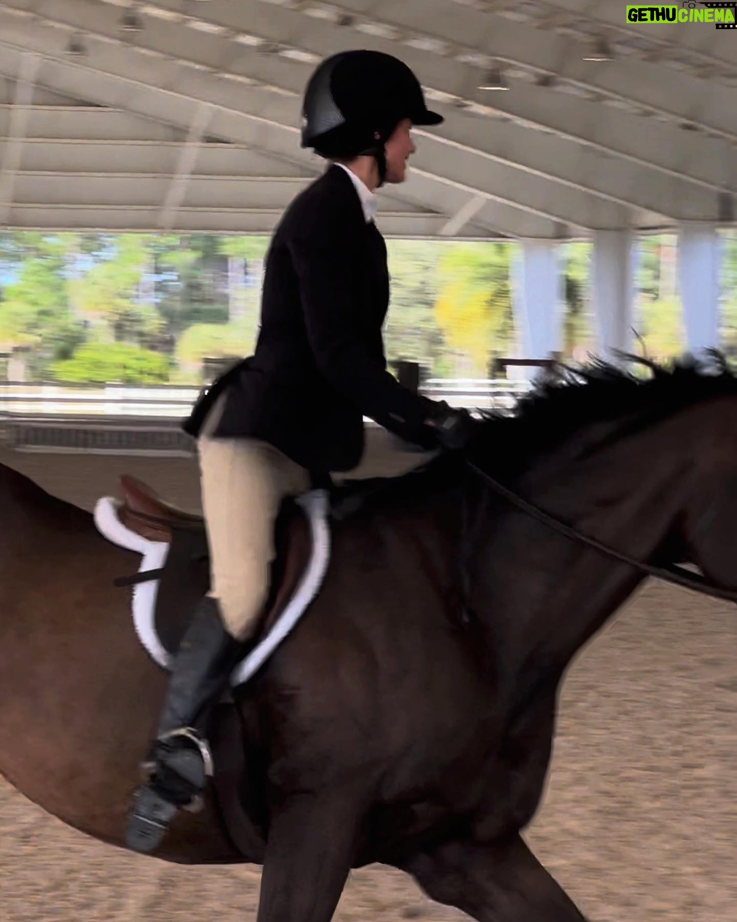 Ronni Hawk Instagram - Had an amazing weekend at a horse show! Thrilled to share that I had some great rounds and even managed to secure a few wins! Was such a special weekend!🏆🐴 @delrayfeedandsupply #horsegirl