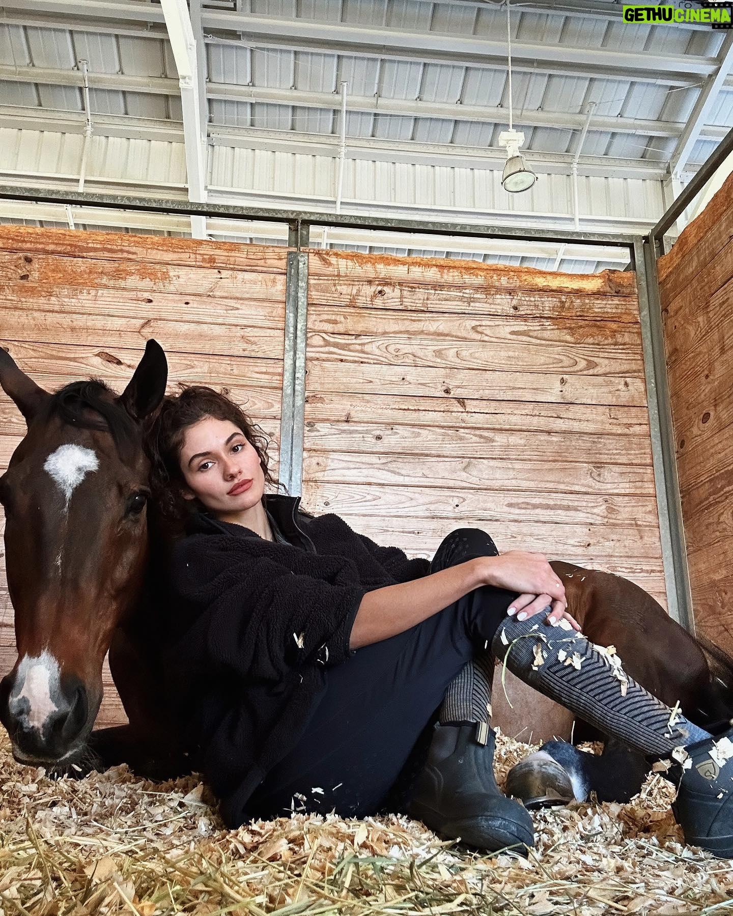 Ronni Hawk Instagram - Had an amazing weekend at a horse show! Thrilled to share that I had some great rounds and even managed to secure a few wins! Was such a special weekend!🏆🐴 @delrayfeedandsupply #horsegirl