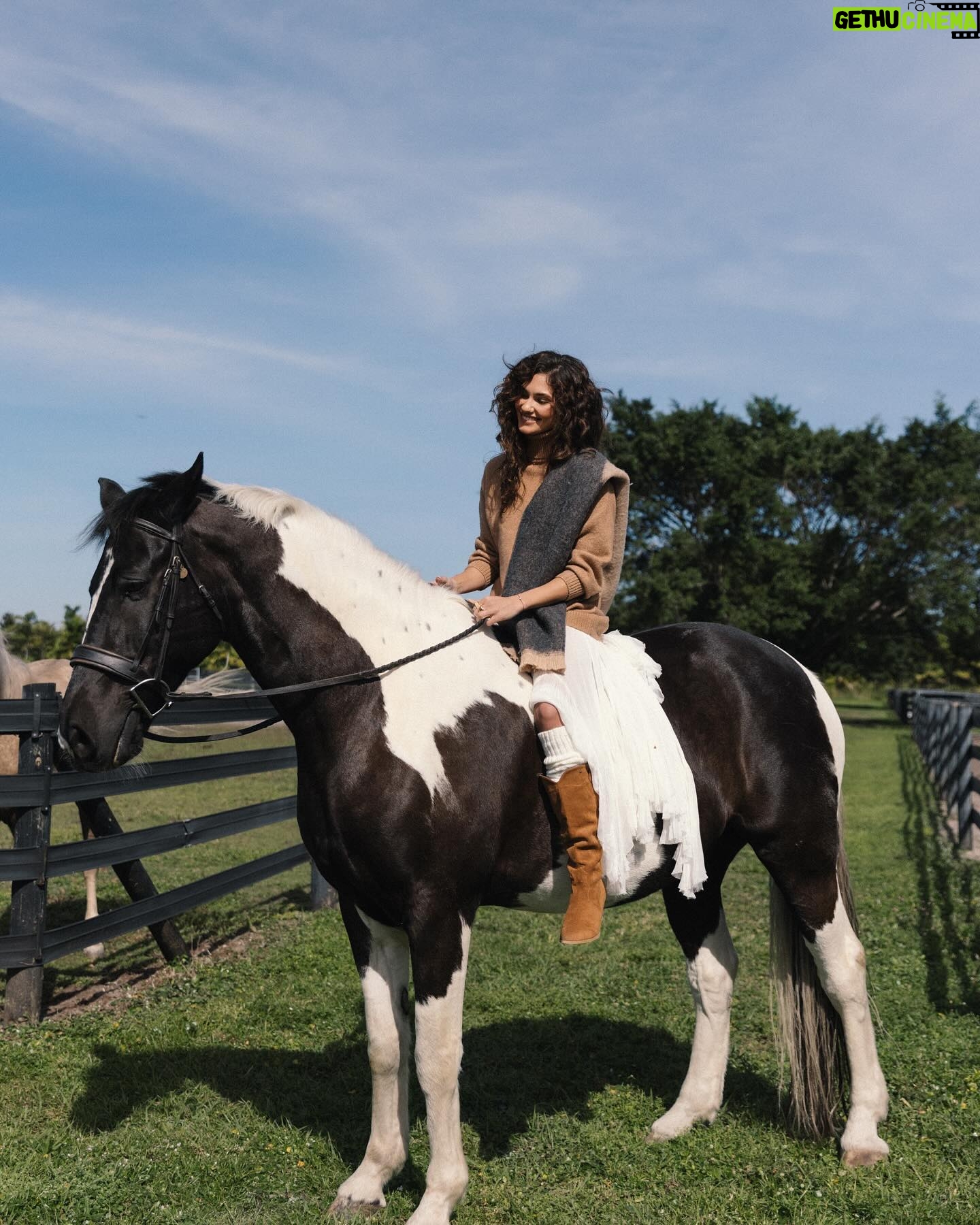 Ronni Hawk Instagram - @aleshina.ph @alina_bondarevska @anna_kstyle @polina.with.camera @4gs_equestrian #horsegirl #barnlife #photoshootideas