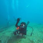 Ronni Hawk Instagram - Fun Shoot 🐙 with @diveforcee & @fullysubmergedscuba #forceedivers #scubalife #girlswhoscuba #southflorida #dreamjob