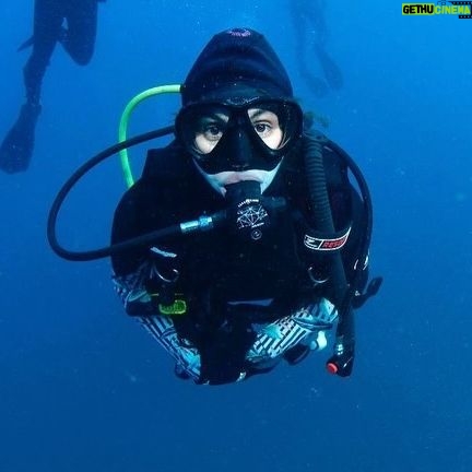 Ronni Hawk Instagram - Feeling so blessed that I was able to experience my first shark dive with @diveforcee Observing sharks in their natural habitat, was unforgettable🦈🩵