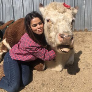 Rosa Blasi Instagram - Hug a 🐄 and have a bad day... I dare you! @thegentlebarn visiting abused and rescued animals and giving them the love they deserve.