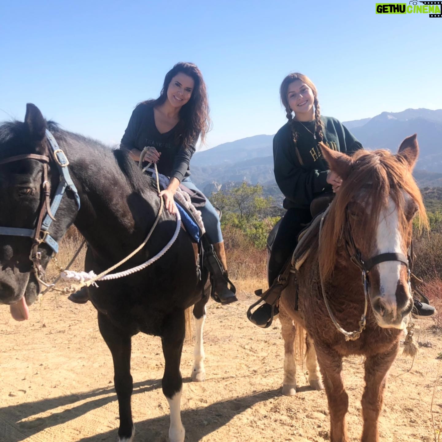Rosa Blasi - 31.8K Likes - Money can’t buy you happiness...but a CLOSE second is cantering on a rented horse. Nothing makes me smile harder.