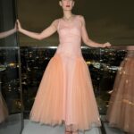 Rosamund Pike Instagram – LA DREAMING… night before the @goldenglobes . Lights of Los Angeles never fail to transfix me. A night to play in a @mollygoddard dress of dreams. We had FUN!
Styling @leithclark makeup @melaniemakeup  hair @davidebarbieri_ dress @mollygoddard jewellery @repossi shoes @jimmychoo @saltburnfilm