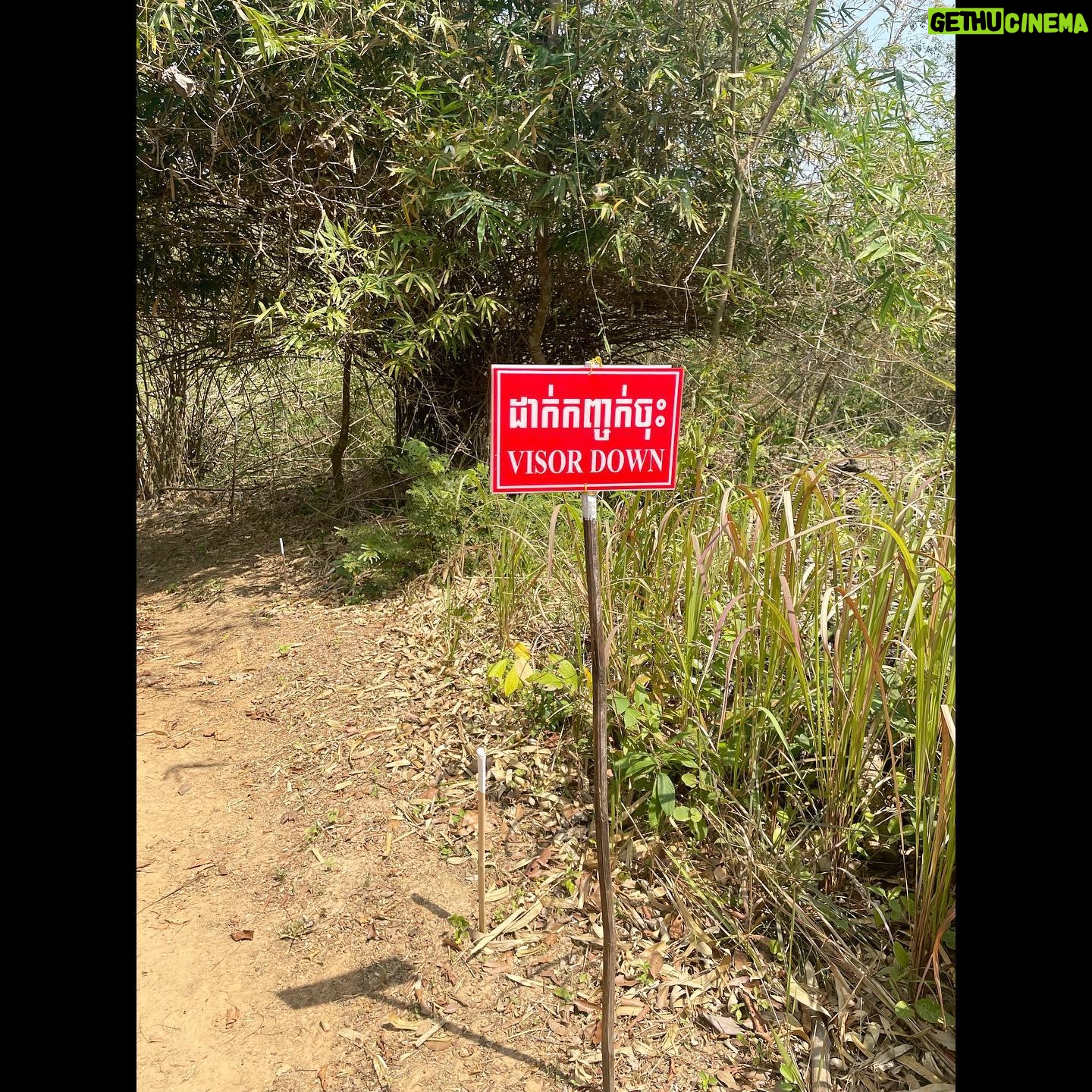 Rosamund Pike Instagram - In Battambang Province Cambodia, once again seeing with my own eyes the tireless efforts of teams of female deminers, working in swelteringly hot conditions protected by heavy, constrictive PPE, on uneven terrain. The undergrowth they have to clear to find the mines, remnants of wars over 30 years past, is dense, tangled and resistant. Many families live face to face with land still heavily contaminated with unexploded ordnance. The efforts of MAG are sensitive, expert, dedicated and inspiring. #proudambassador #landmines #cambodia