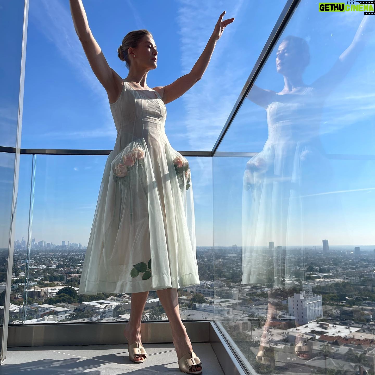 Rosamund Pike - 101.9K Likes - Days of wine and roses. Long have I wished to wear a dress by @simonerocha_ This felt whimsical and witty and painterly for the @bafta tea party at the Maybourne Hotel which was on a terrace decorated with red roses!
Thank you @leithclark for the joy, @kyleeheathhair for the beautiful bun @tamah_krinsky for the face magic. And @prosper_pr for it all.