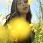 Rosanna Zanetti Instagram – 🌼✨🌼✨🌼